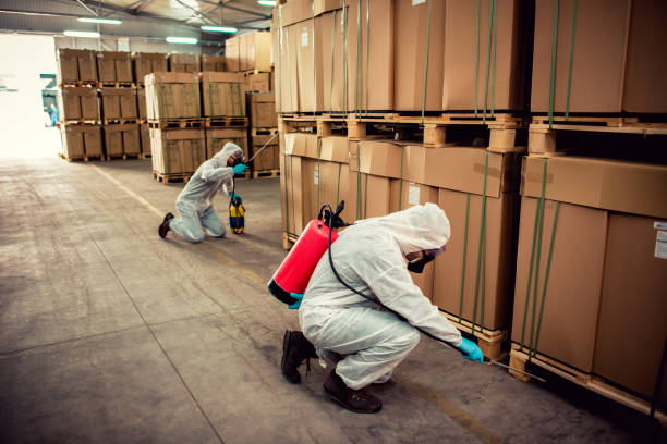 Best Pest Control Near Me  in Lindsborg, KS