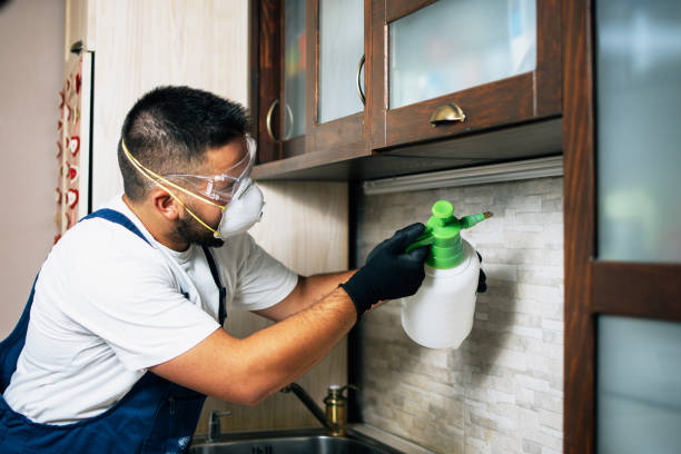 Best Pest Removal Services  in Lindsborg, KS