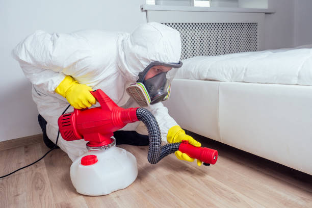 Best Affordable Pest Control Services  in Lindsborg, KS