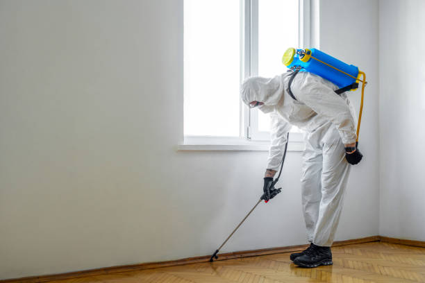 Best Flea Control Services  in Lindsborg, KS