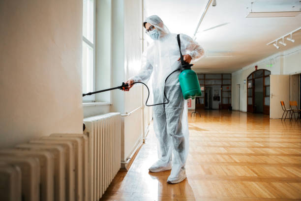Best Termite Control Services  in Lindsborg, KS