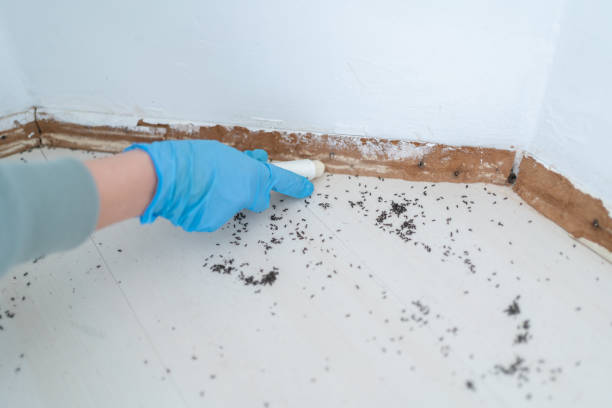 Best Pest Removal Services  in Lindsborg, KS