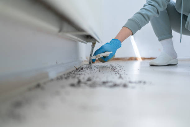 Best Rat Extermination Near Me  in Lindsborg, KS