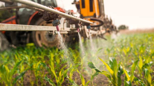 Insect Control in Lindsborg, KS